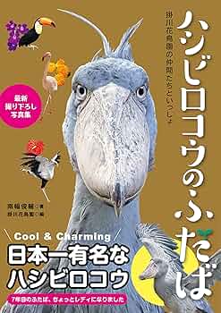 ハシビロコウ　フドウくん　ポスター　B2 ハシビロコウ フドウくん ポスター B2